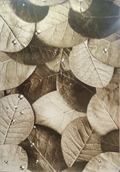 1.6*2.3 2760A Natura - фото 12820